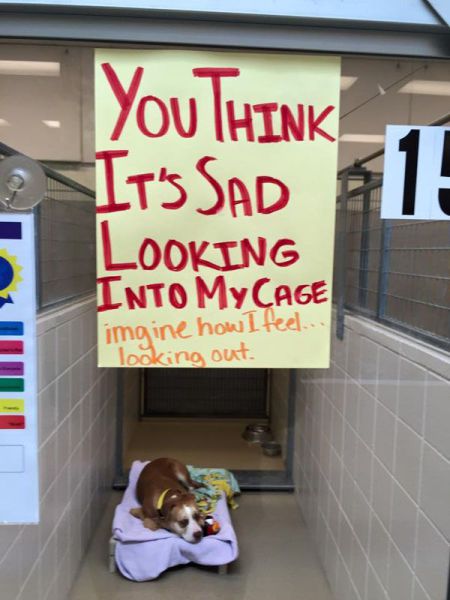 morning picdump 56 pics 3.html - 56 HD Photos | Premium Gallery 2015