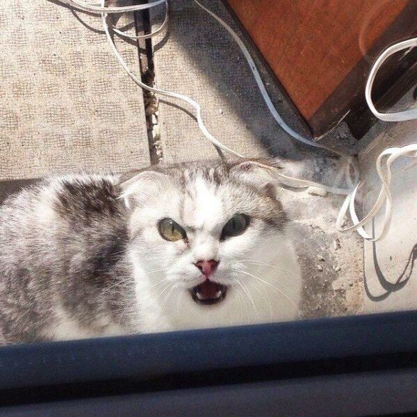 morning picdump 56 pics 3.html - 56 HD Photos | Premium Gallery 2015