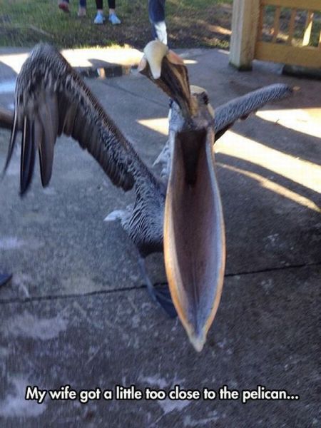 morning picdump 56 pics 3.html - 56 HD Photos | Premium Gallery 2015