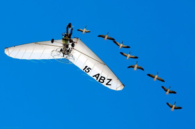 morning picdump 54 pics 9.html - 54 HD Photos | Premium Gallery 2015