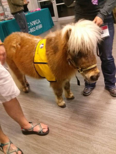 morning picdump 54 pics 9.html - 54 HD Photos | Premium Gallery 2015