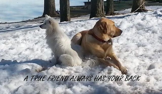 morning picdump 54 pics 9.html - 54 HD Photos | Premium Gallery 2015