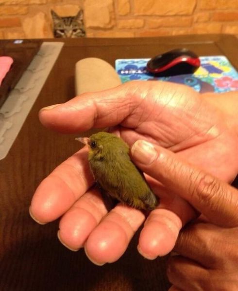 morning picdump 57 pics 7.html - 57 HD Photos | Premium Gallery 2015