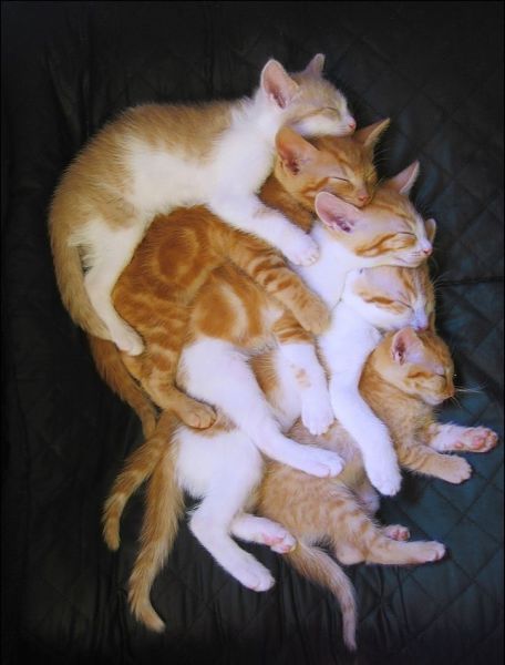 morning picdump 57 pics 7.html - 57 HD Photos | Premium Gallery 2015