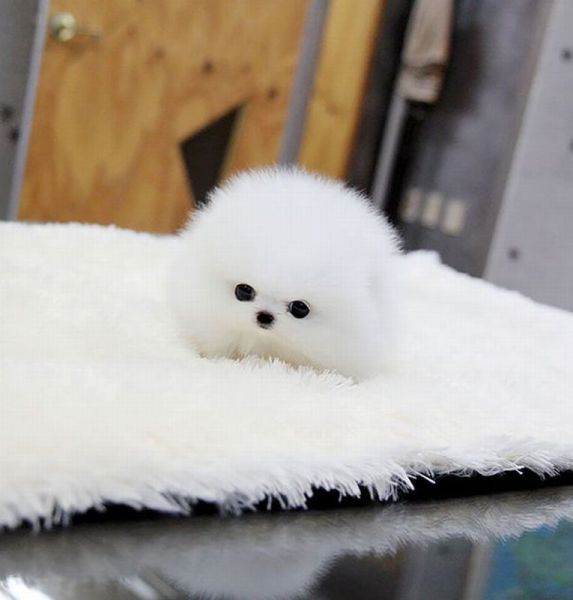 morning picdump 57 pics 7.html - 57 HD Photos | Premium Gallery 2015