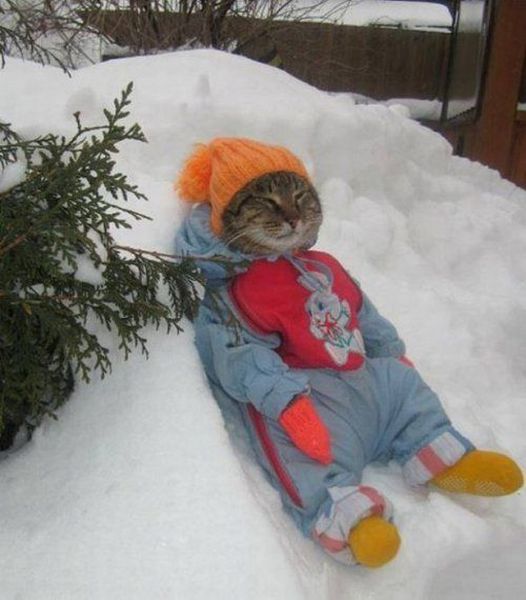 morning picdump 57 pics 7.html - 57 HD Photos | Premium Gallery 2015