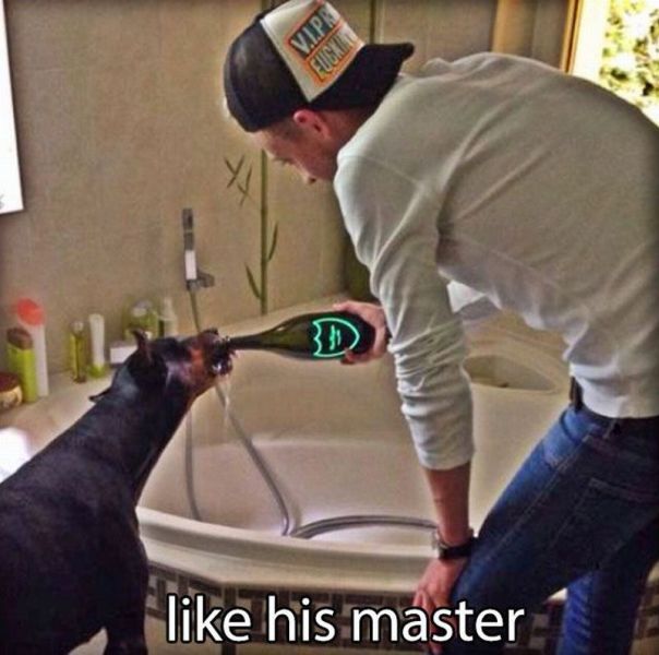 morning picdump 57 pics 7.html - 57 HD Photos | Premium Gallery 2015