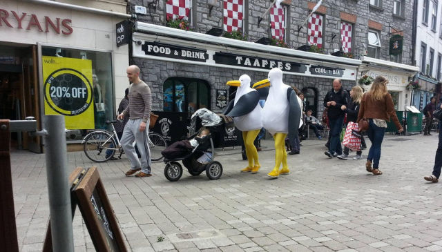 Sometimes the Only Question is WTF?