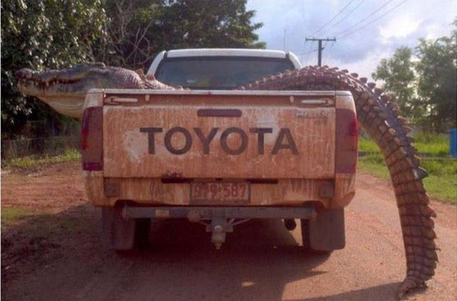 Sometimes the Only Question is WTF?