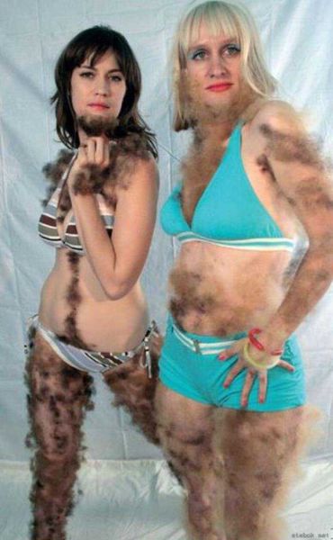 Sometimes the Only Question is WTF?