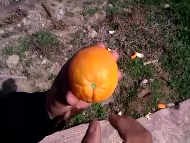 page,10,top 500 videos of the year 2015.html - 1 HD Video | Premium Gallery 2015