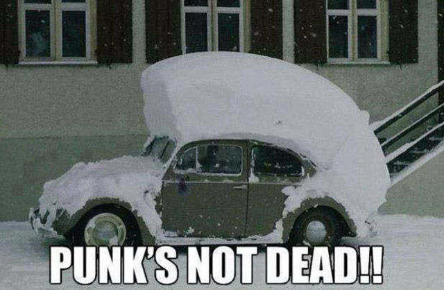 page,9,top 450 funny pics of the year 2015.html - 1 HD Photos | Premium Gallery 2015