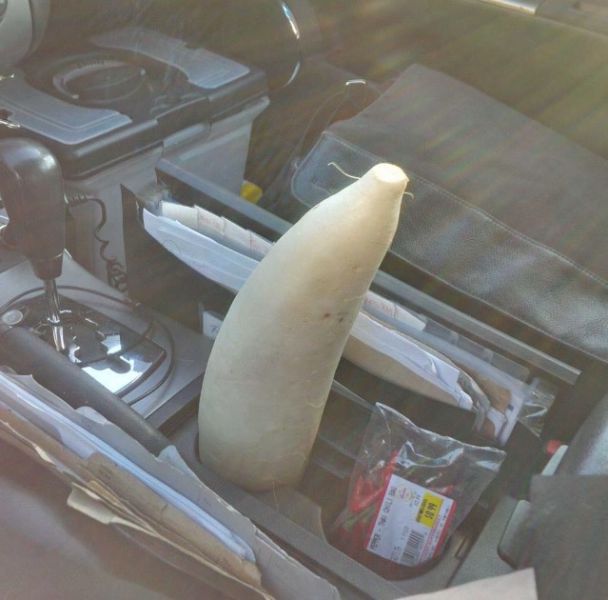 morning picdump 51 pics 17.html - 51 HD Photos | Premium Gallery 2015