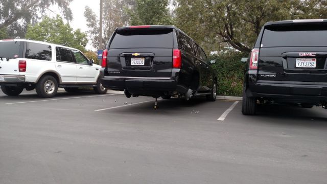 Morning Picdump