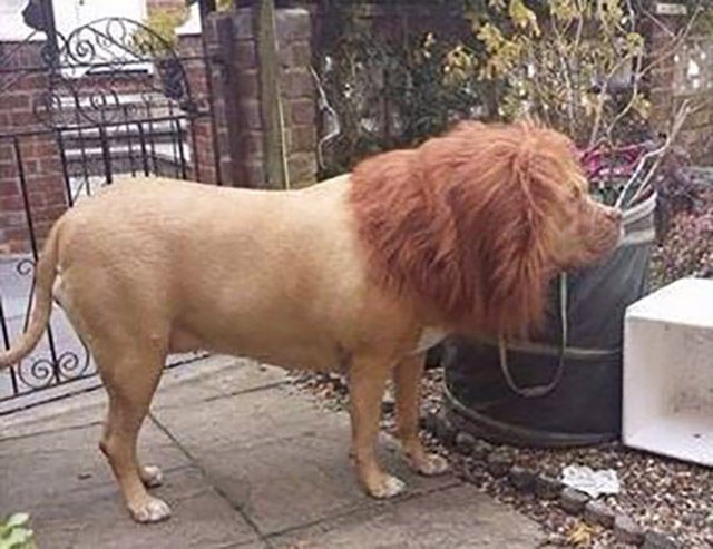 morning picdump 51 pics 17.html - 51 HD Photos | Premium Gallery 2015