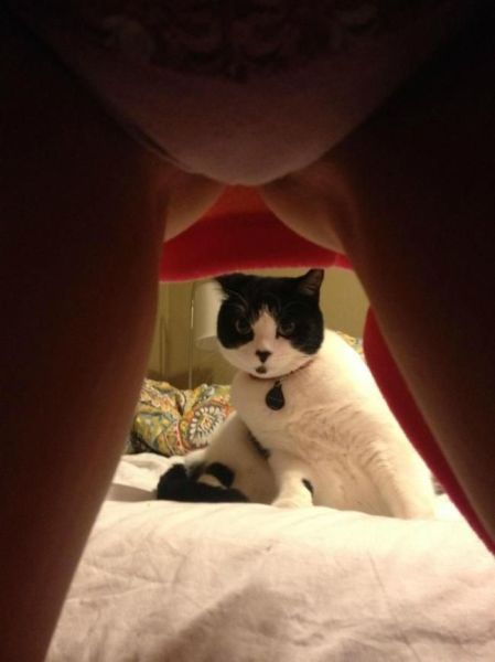 grownup corner 65 pics 18 gifs 6.html - 65 HD GIF | Premium Gallery 2015