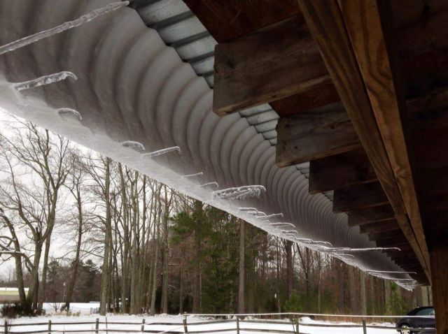 morning picdump 51 pics 16.html - 51 HD Photos | Premium Gallery 2015