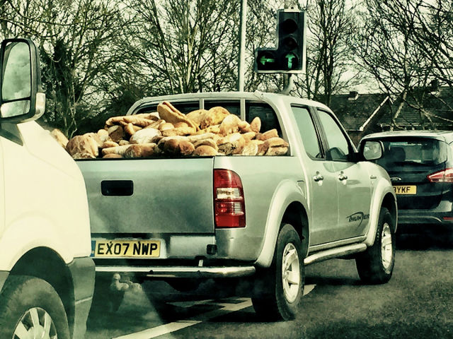 morning picdump 51 pics 16.html - 51 HD Photos | Premium Gallery 2015