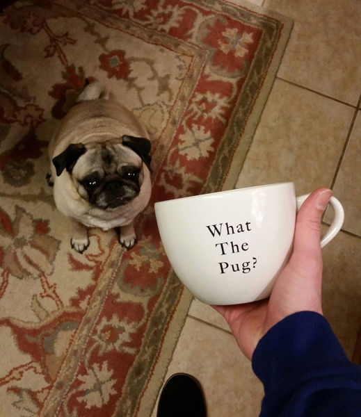 morning picdump 51 pics 16.html - 51 HD Photos | Premium Gallery 2015