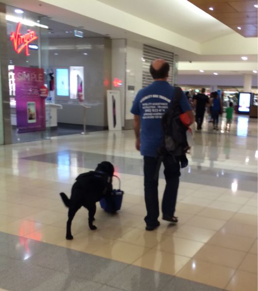 morning picdump 51 pics 16.html - 51 HD Photos | Premium Gallery 2015