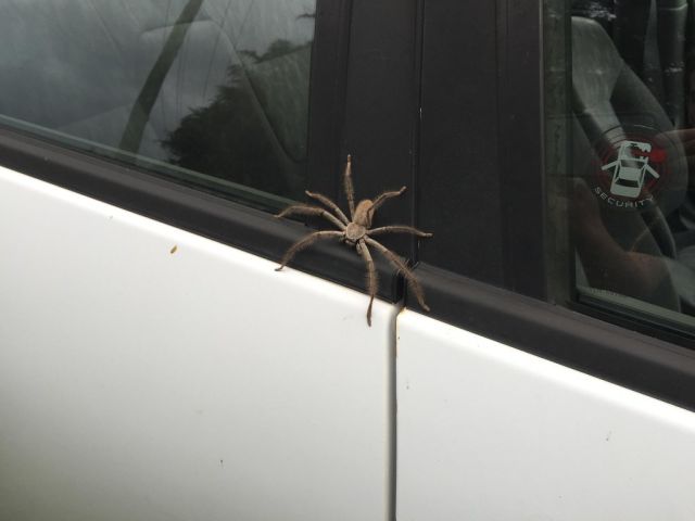 morning picdump 51 pics 16.html - 51 HD Photos | Premium Gallery 2015