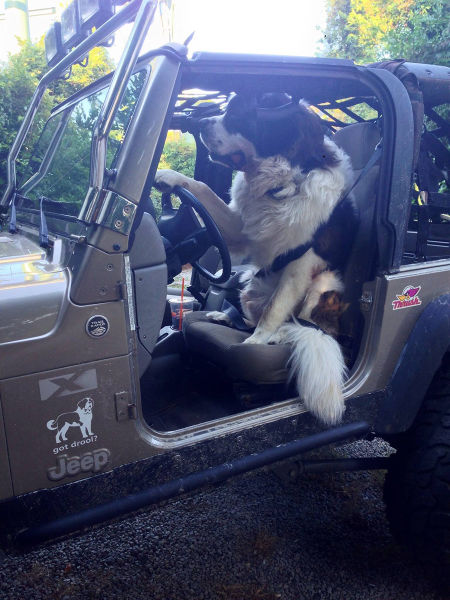 morning picdump 51 pics 16.html - 51 HD Photos | Premium Gallery 2015