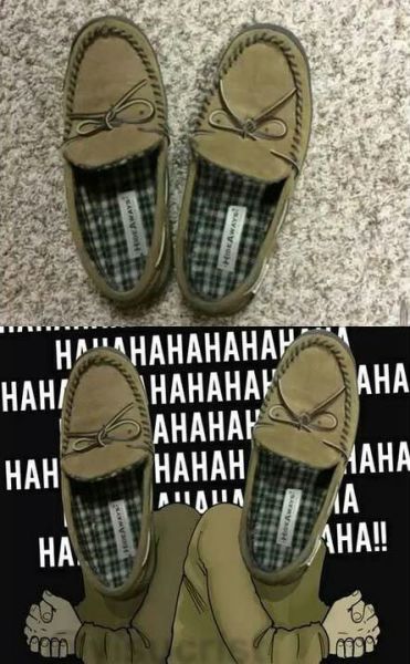 page,15,top 450 funny pics of the year 2015.html - 1 HD Photos | Premium Gallery 2015