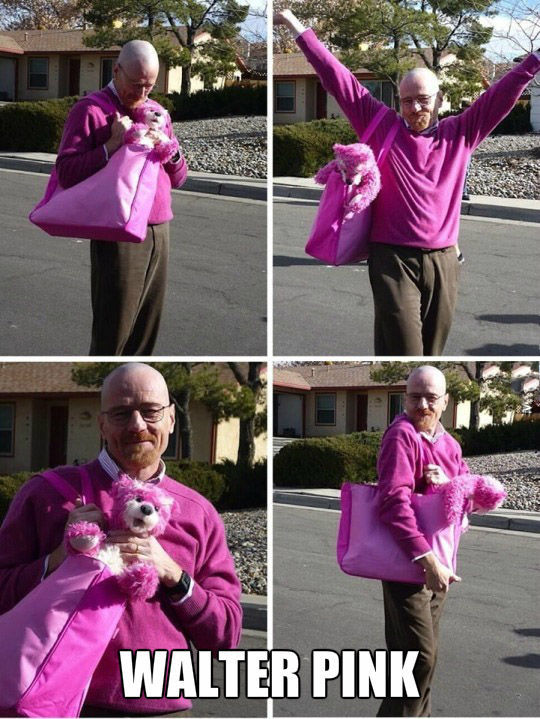 funny picdump 54 pics 6.html - 54 HD Photos | Premium Gallery 2015