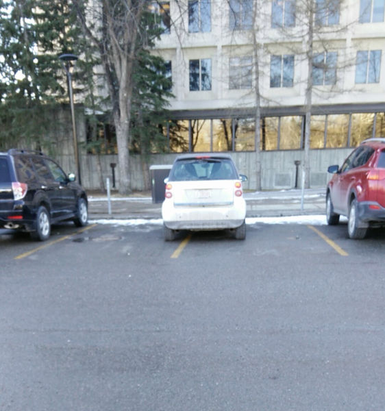 morning picdump 52 pics 21.html - 52 HD Photos | Premium Gallery 2015