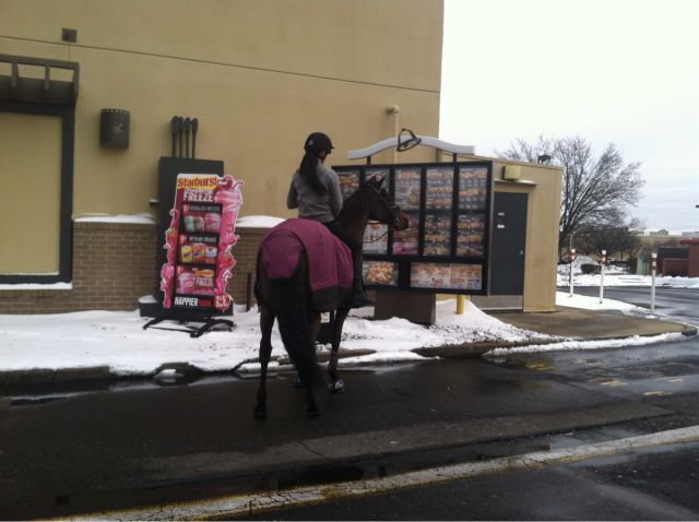 morning picdump 52 pics 21.html - 52 HD Photos | Premium Gallery 2015