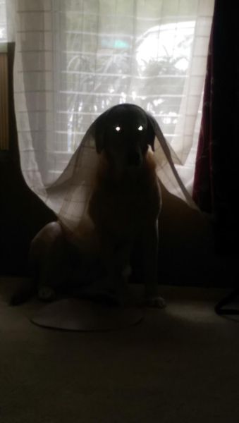 morning picdump 52 pics 21.html - 52 HD Photos | Premium Gallery 2015