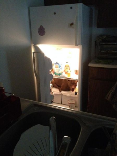 morning picdump 52 pics 3.html - 52 HD Photos | Premium Gallery 2015