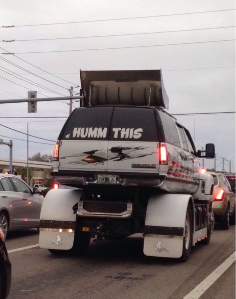 Morning Picdump