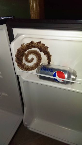 Morning Picdump