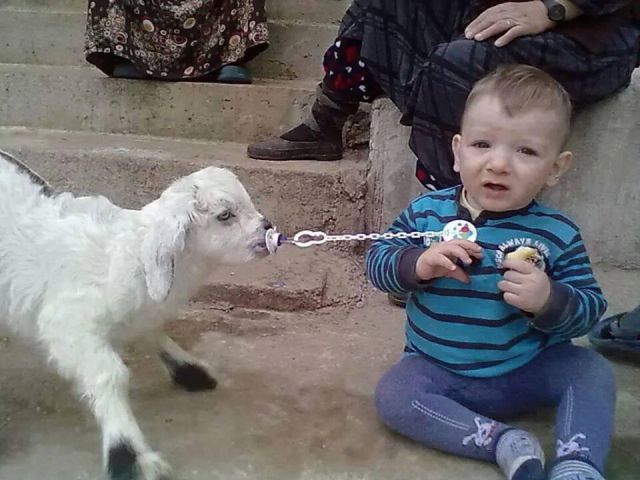 morning picdump 52 pics 3.html - 52 HD Photos | Premium Gallery 2015