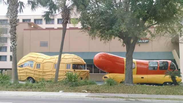Morning Picdump