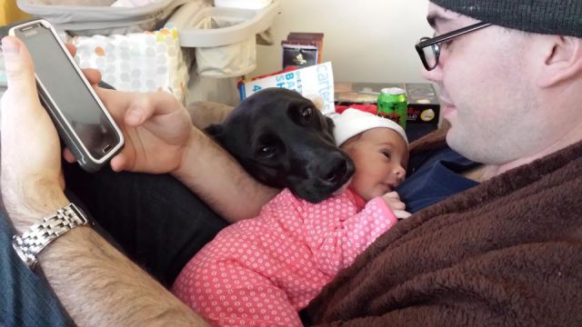 morning picdump 52 pics 7.html - 52 HD Photos | Premium Gallery 2015