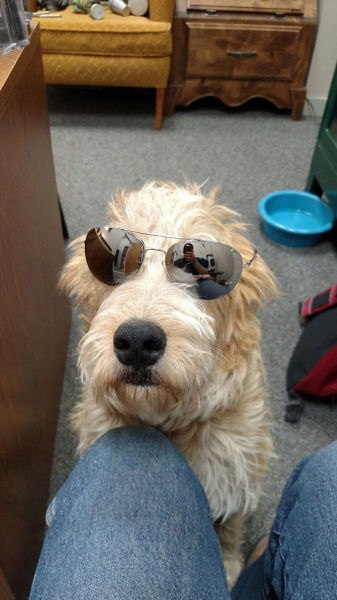 morning picdump 52 pics 7.html - 52 HD Photos | Premium Gallery 2015