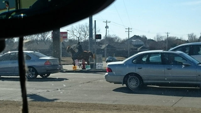 morning picdump 52 pics 7.html - 52 HD Photos | Premium Gallery 2015