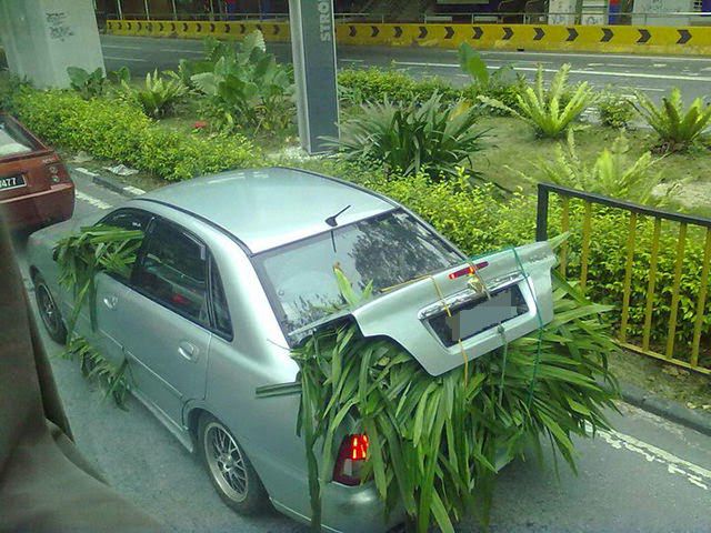 morning picdump 52 pics 7.html - 52 HD Photos | Premium Gallery 2015