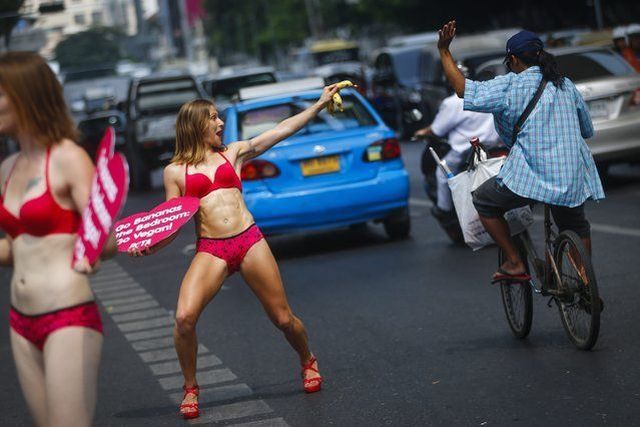 Daily Picdump