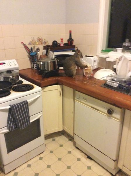 daily picdump 91 pics 30.html - 91 HD Photos | Premium Gallery 2015