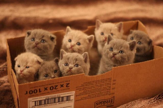 daily picdump 91 pics 30.html - 91 HD Photos | Premium Gallery 2015