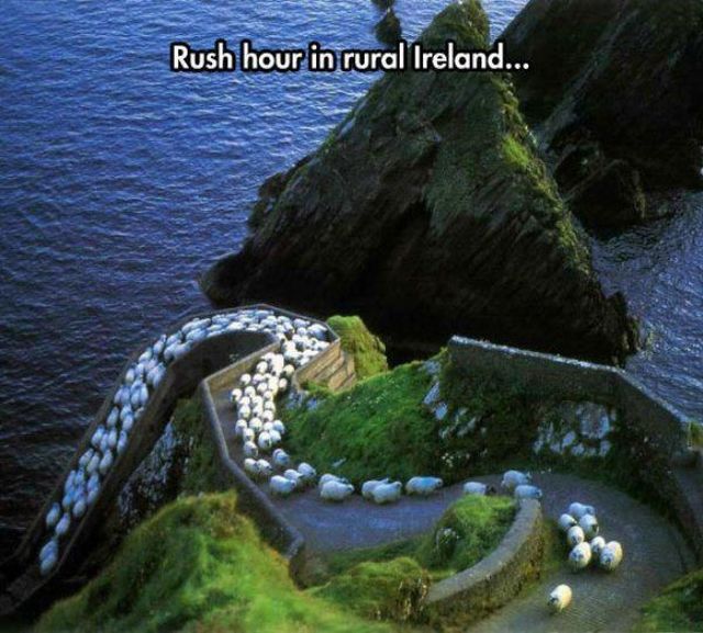 daily picdump 91 pics 30.html - 91 HD Photos | Premium Gallery 2015