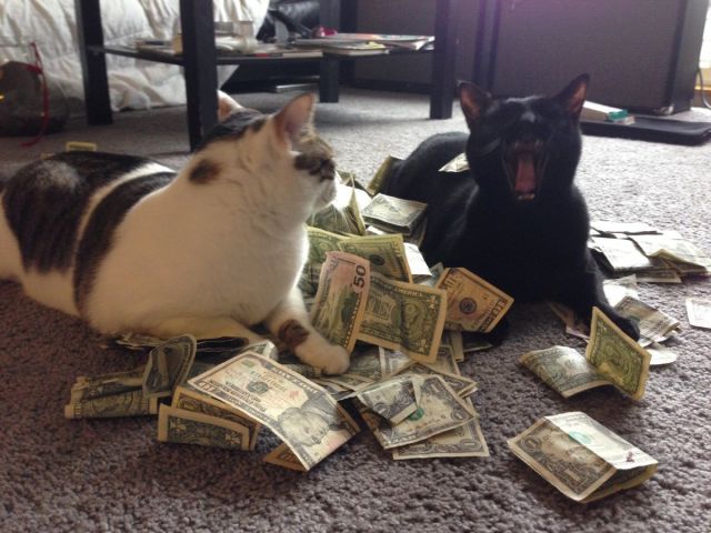 daily picdump 91 pics 30.html - 91 HD Photos | Premium Gallery 2015