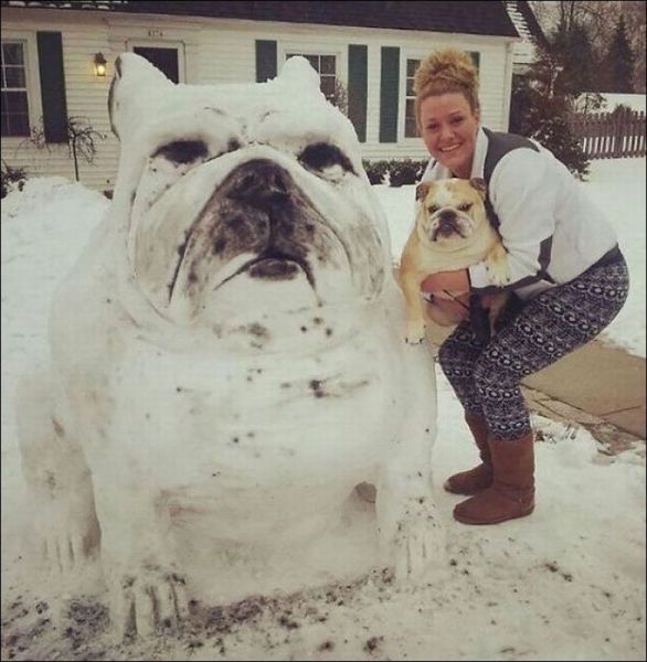 daily picdump 91 pics 30.html - 91 HD Photos | Premium Gallery 2015