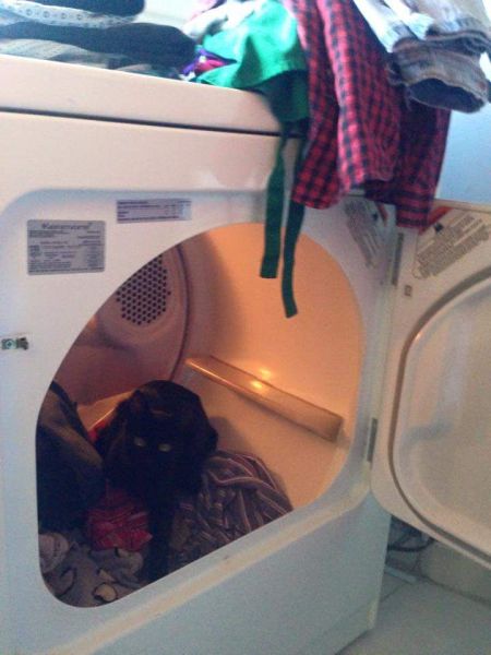 daily picdump 91 pics 30.html - 91 HD Photos | Premium Gallery 2015