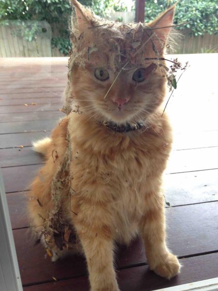 daily picdump 91 pics 30.html - 91 HD Photos | Premium Gallery 2015
