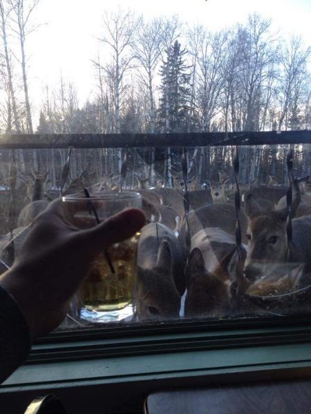 Morning Picdump
