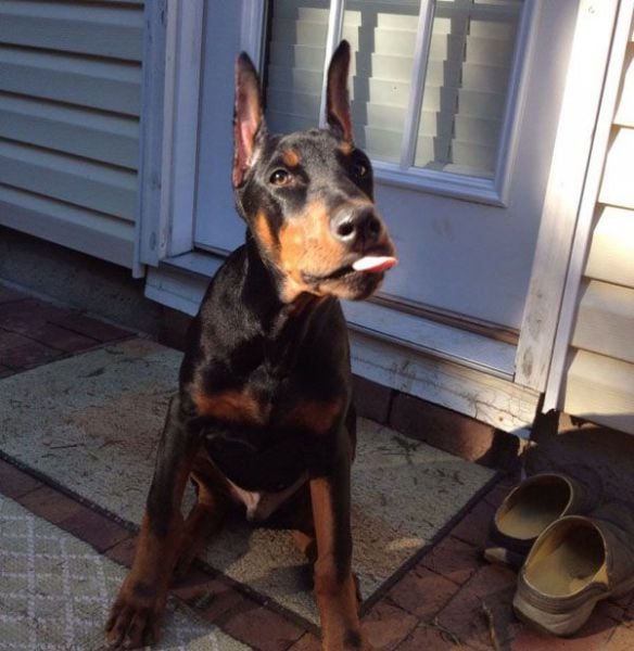 daily picdump weekend edition 67 pics 15.html - 67 HD Photos | Premium Gallery 2015